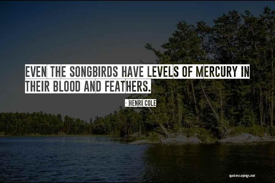 Guiamares Quotes By Henri Cole