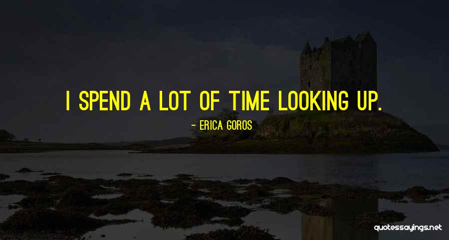 Guidance Of God Quotes By Erica Goros
