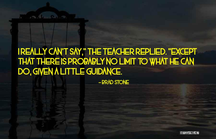 Guidance Quotes By Brad Stone