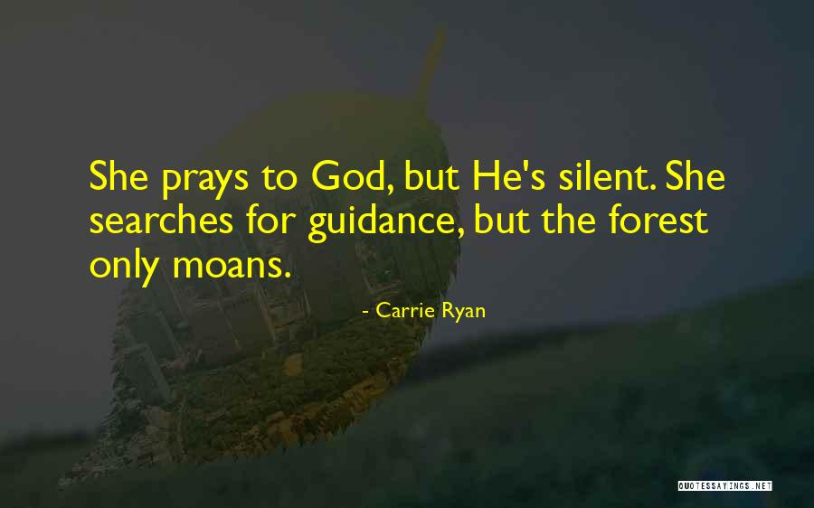 Guidance Quotes By Carrie Ryan