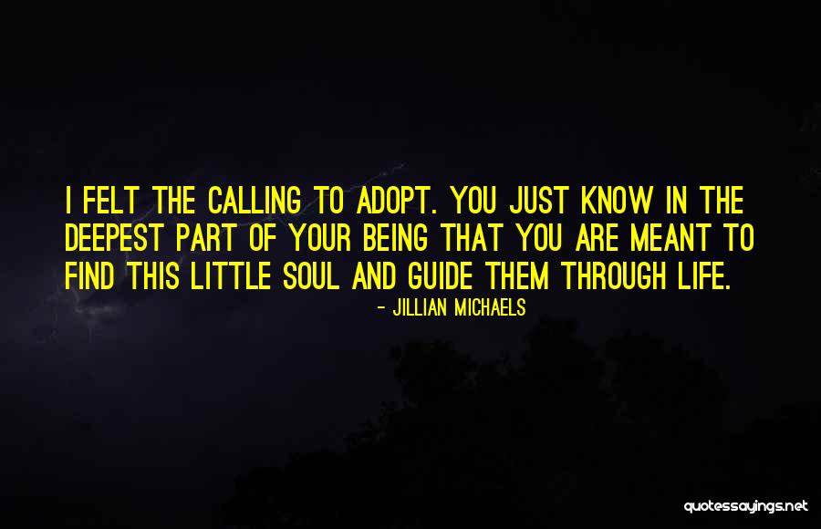 Guide Through Life Quotes By Jillian Michaels