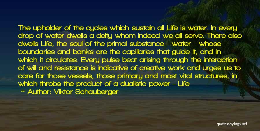 Guide Through Life Quotes By Viktor Schauberger