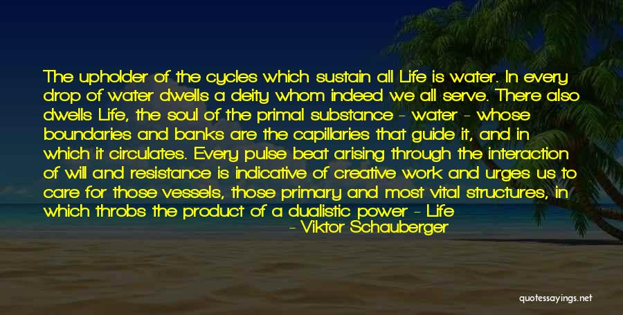 Guide Through Life Quotes By Viktor Schauberger