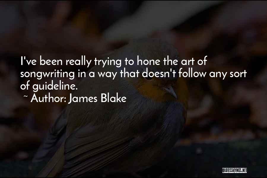 Guideline Quotes By James Blake