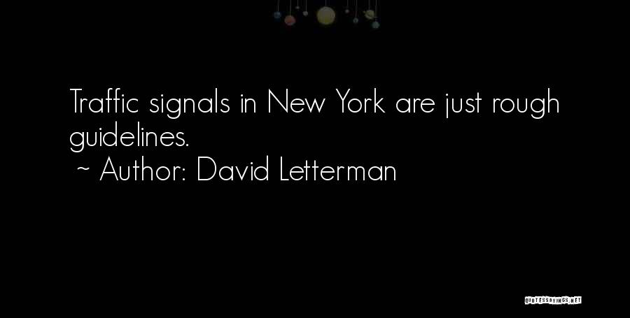 Guidelines Quotes By David Letterman