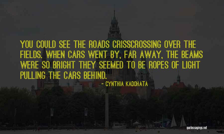 Guiderock Quotes By Cynthia Kadohata Guiderock Quotes By Cynthia Kadohata