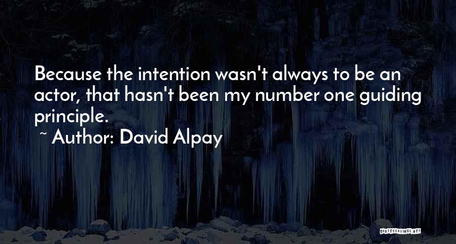 Guiding Principle Quotes By David Alpay