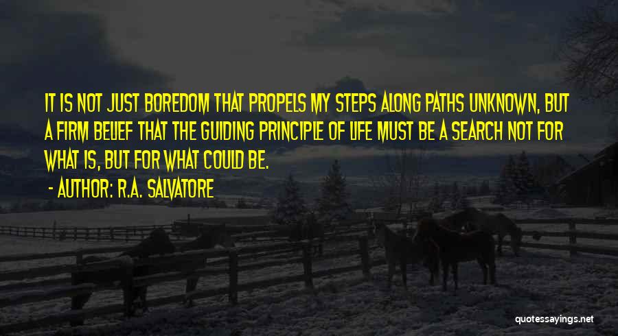 Guiding Principle Quotes By R.A. Salvatore