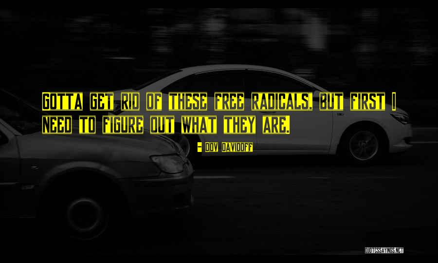 Guignol Quotes By Dov Davidoff Guignol Quotes By Dov Davidoff