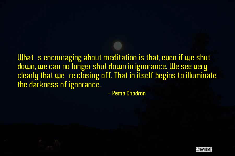 Guildays Restaurant Quotes By Pema Chodron Guildays Restaurant Quotes By Pema Chodron