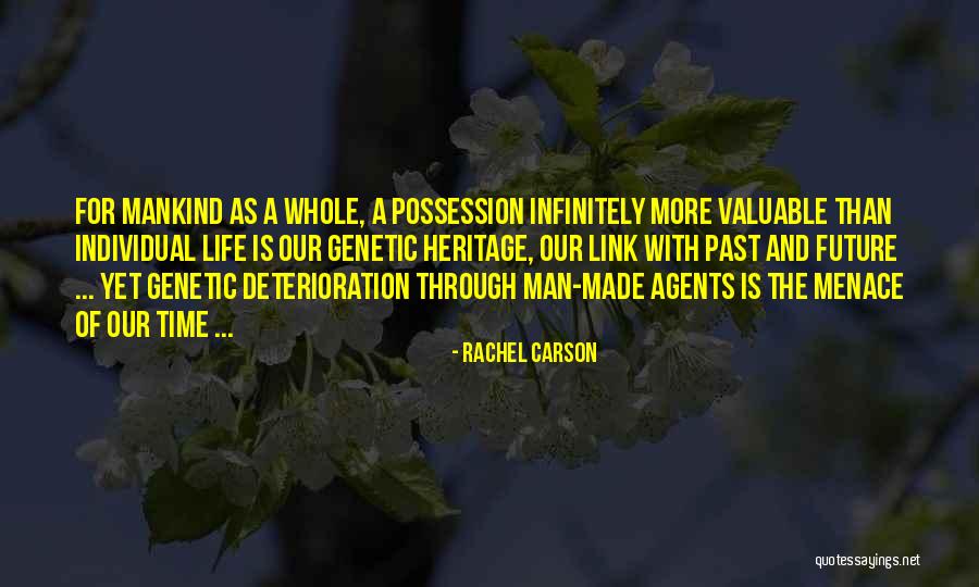 Guildnet Insurance Quotes By Rachel Carson Guildnet Insurance Quotes By Rachel Carson