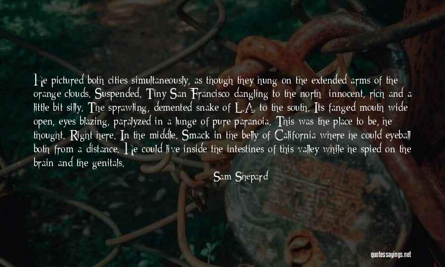 Guillemette De Larquier Quotes By Sam Shepard
