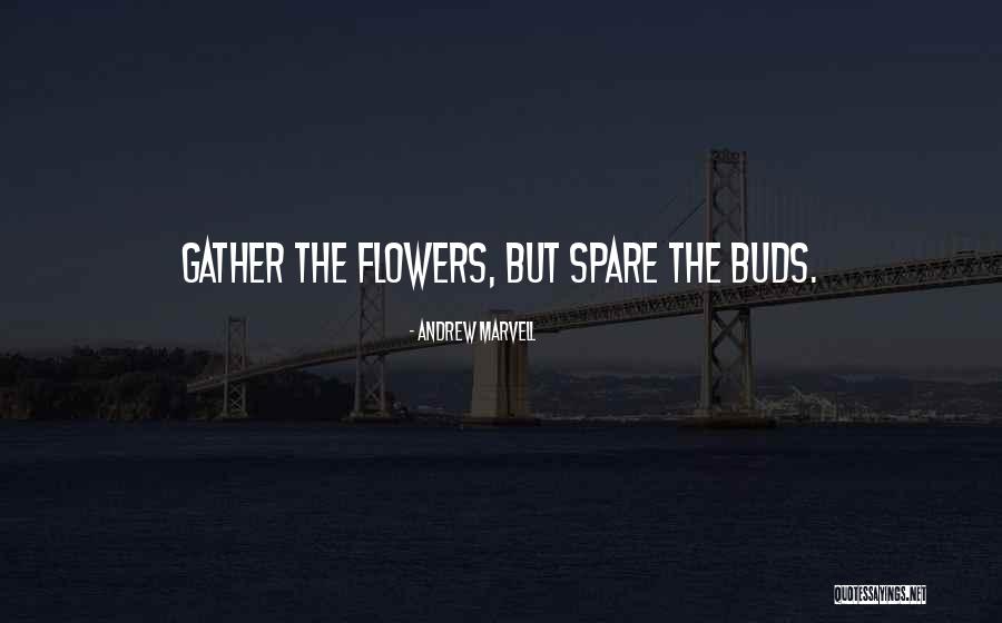 Guillotte Market Quotes By Andrew Marvell