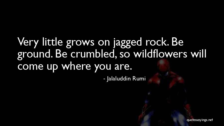 Guilloux Cayo Quotes By Jalaluddin Rumi Guilloux Cayo Quotes By Jalaluddin Rumi