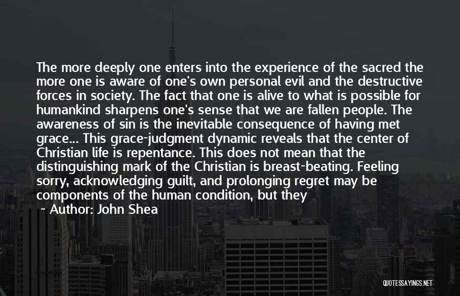 Guilt And Remorse Quotes By John Shea