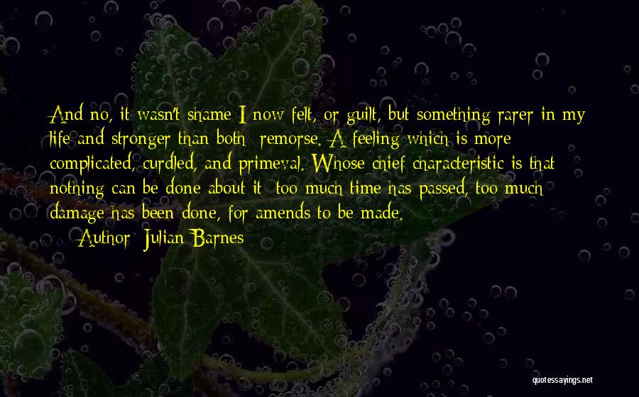 Guilt And Remorse Quotes By Julian Barnes