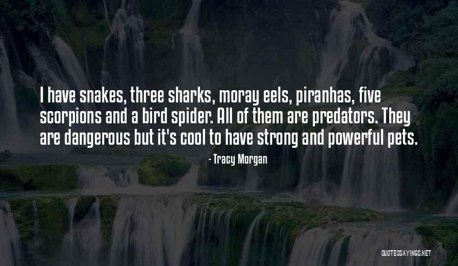 Guimard Works Quotes By Tracy Morgan Guimard Works Quotes By Tracy Morgan