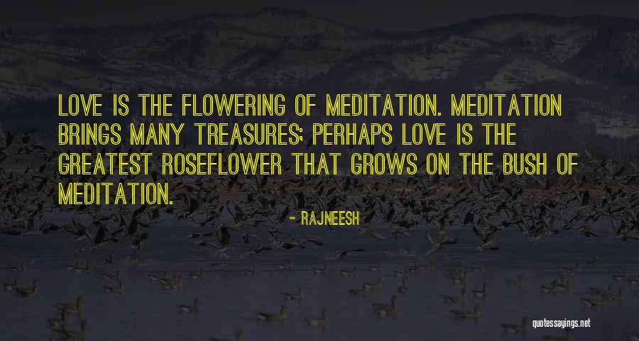 Guimel Significado Quotes By Rajneesh Guimel Significado Quotes By Rajneesh