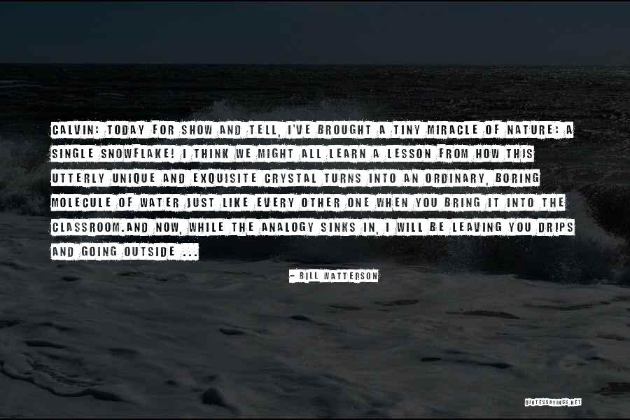 Guinane Genealogy Quotes By Bill Watterson