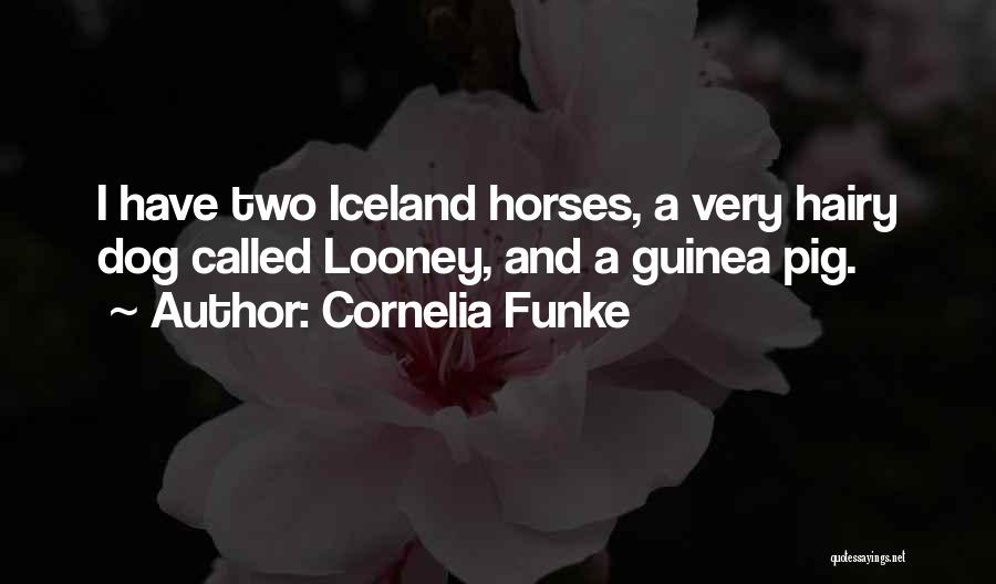 Guinea Pig Quotes By Cornelia Funke
