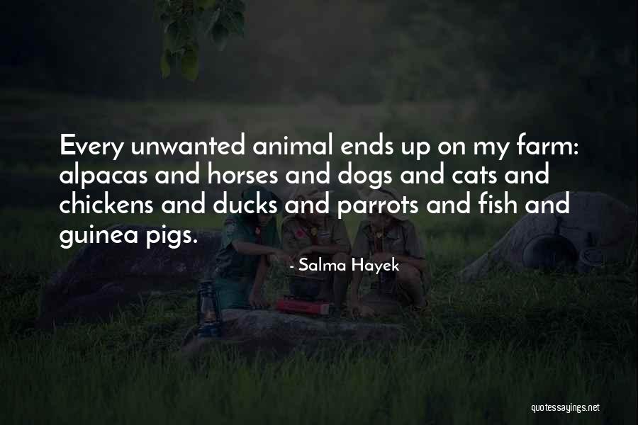 Guinea Pigs Quotes By Salma Hayek