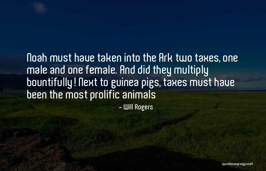 Guinea Pigs Quotes By Will Rogers