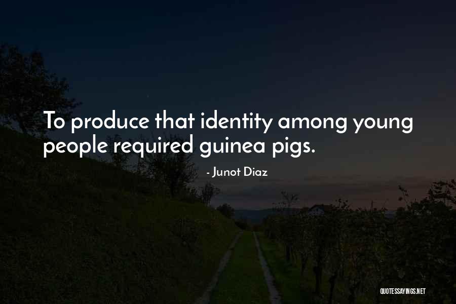 Guinea Quotes By Junot Diaz