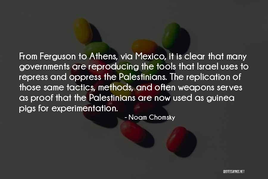 Guinea Quotes By Noam Chomsky