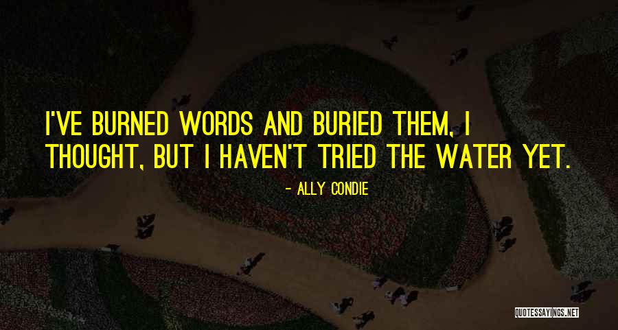 Guinnesses Quotes By Ally Condie Guinnesses Quotes By Ally Condie