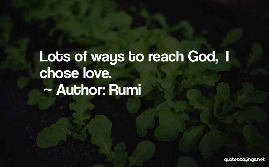 Guirguis Amir Quotes By Rumi