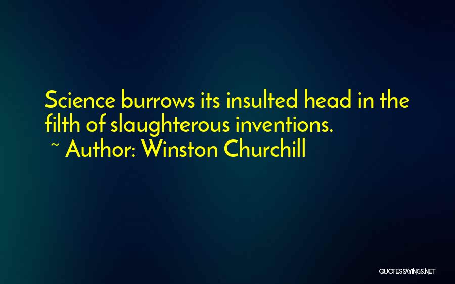 Guiselle Brady Quotes By Winston Churchill