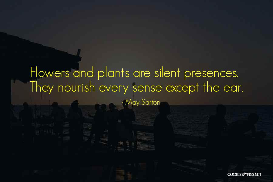 Guiselle Nunez Quotes By May Sarton