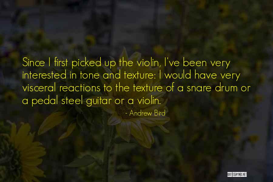 Guitar Pedal Quotes By Andrew Bird Guitar Pedal Quotes By Andrew Bird