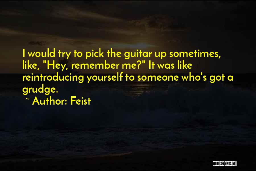 Guitar Pick Quotes By Feist