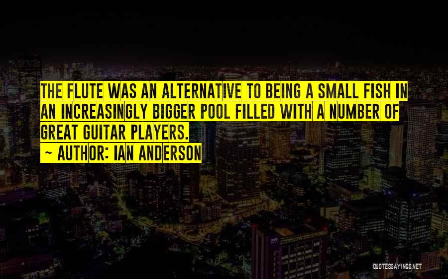 Guitar Players Quotes By Ian Anderson
