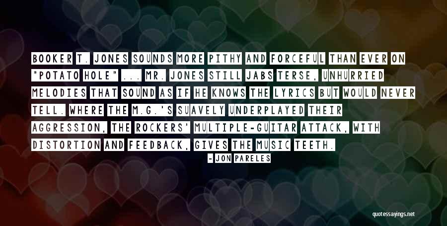Guitar Sound Quotes By Jon Pareles