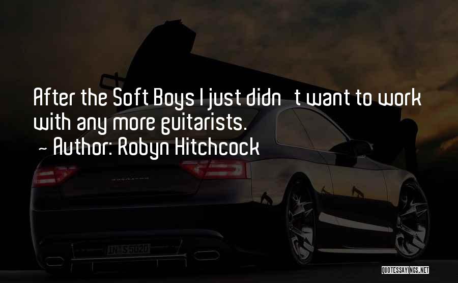 Guitarists Quotes By Robyn Hitchcock