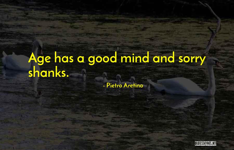 Gul Mohammad Lashari Quotes By Pietro Aretino