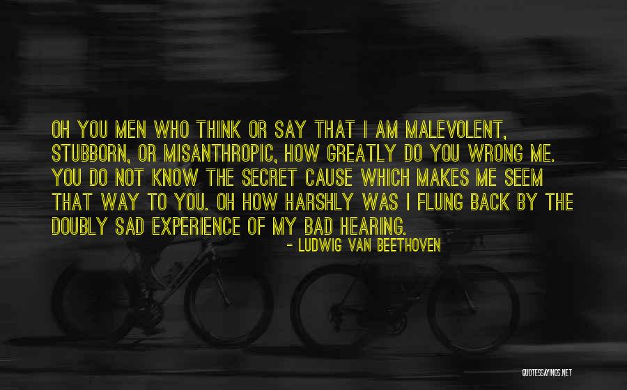 Gulali Mardan Quotes By Ludwig Van Beethoven