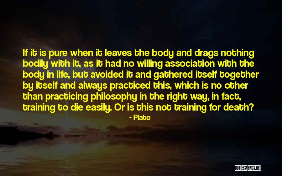 Gulay Quotes By Plato Gulay Quotes By Plato