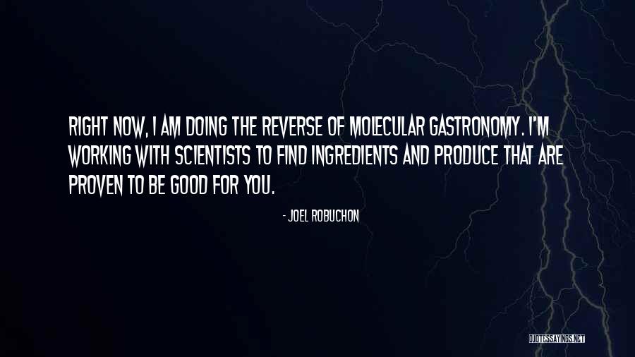 Guldager Forsamlingshus Quotes By Joel Robuchon Guldager Forsamlingshus Quotes By Joel Robuchon