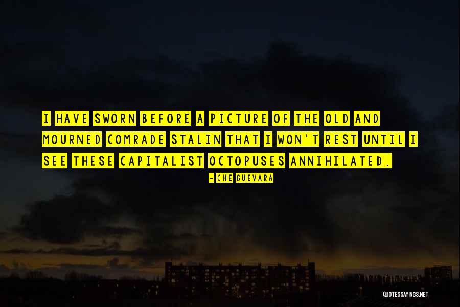 Gulevskaja Quotes By Che Guevara Gulevskaja Quotes By Che Guevara