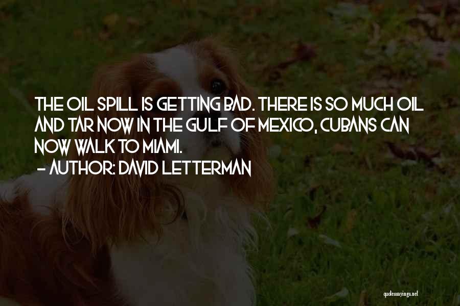 Gulf Of Mexico Oil Spill Quotes By David Letterman