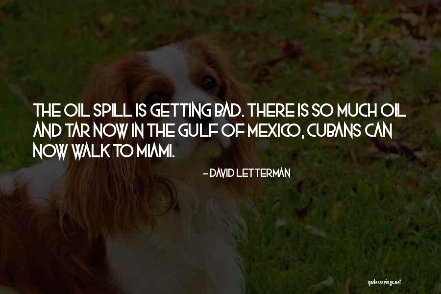 Gulf Of Mexico Oil Spill Quotes By David Letterman