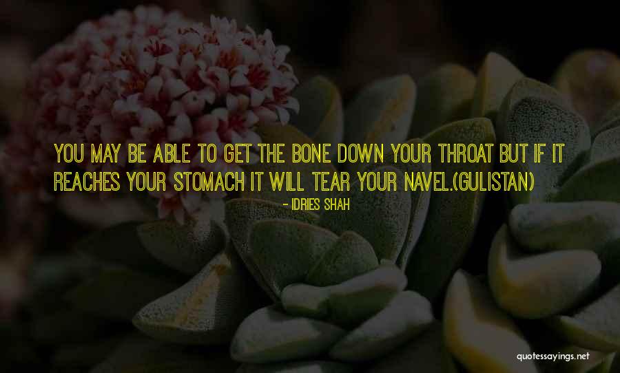Gulistan Quotes By Idries Shah Gulistan Quotes By Idries Shah