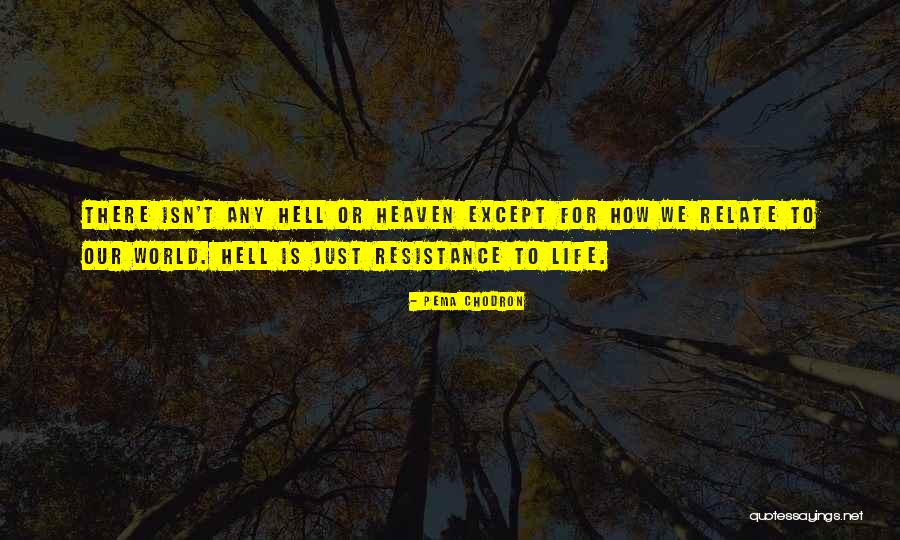 Gullnet Student Quotes By Pema Chodron Gullnet Student Quotes By Pema Chodron