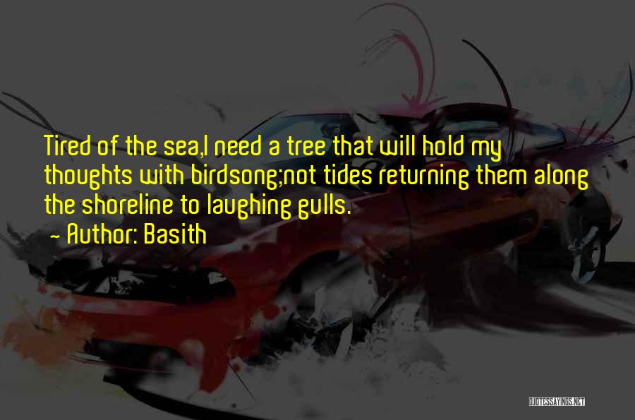 Gulls Quotes By Basith