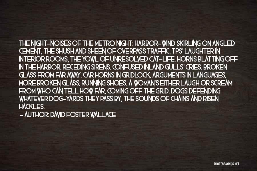 Gulls Quotes By David Foster Wallace