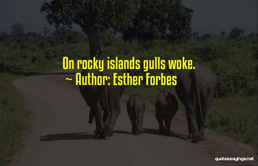 Gulls Quotes By Esther Forbes