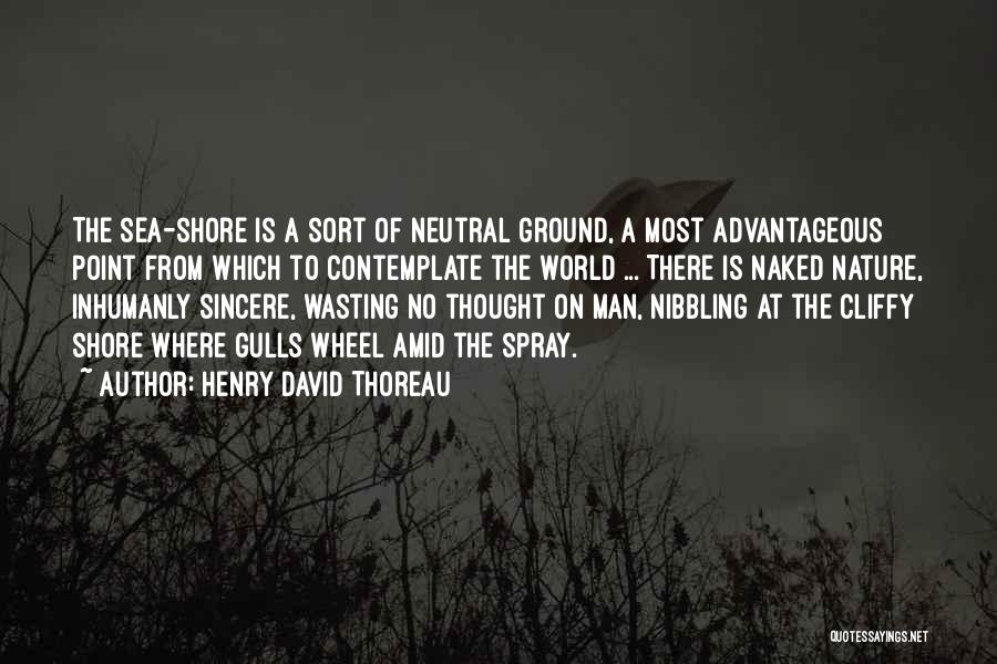 Gulls Quotes By Henry David Thoreau